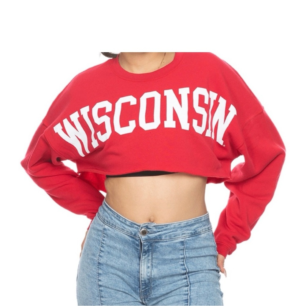 Zoozatz University of Wisconsin Uber Crop Top Sweatshirt Size Small